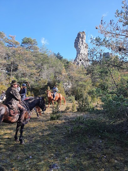 Equestrian Farm Les Pelissiers, Centre Equestres à Millau