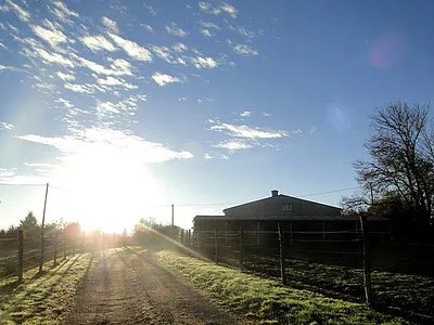 Ecuries des B, Pension pour Chevaux à Saint-Pierre-du-Fresne