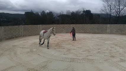 The stables of Saurine, Pension pour Chevaux à Meyreuil