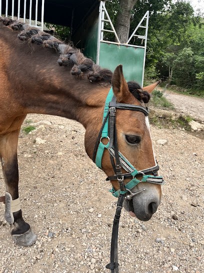 Les Poneys Vençois, Centre Equestres à Vence