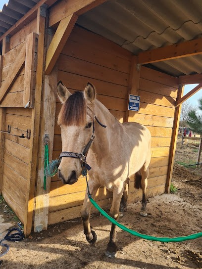 ECURIE ROXANE BARRAU, Centre Equestres à Coursan