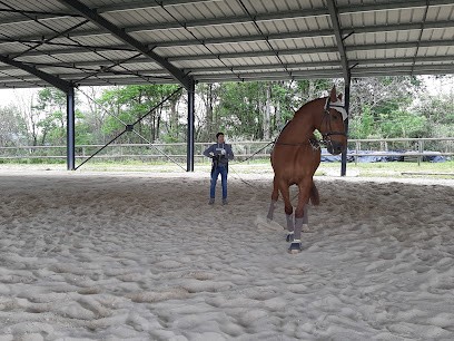 Le Massey-écurie propriétaire, Pension pour Chevaux à Saint-Cricq-du-Gave