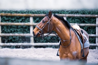 Ecole Riding Le Manoir, Centre Equestres à La Ferté-en-Ouche
