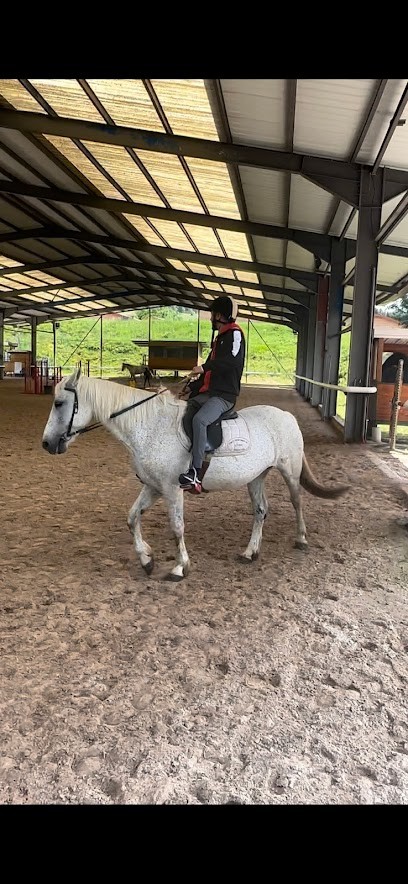 Centre Equestre Unieux, Centre Equestres à Unieux