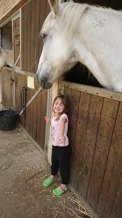 The Equestrian Center Vallée Des Bois, Centre Equestres à Nonancourt
