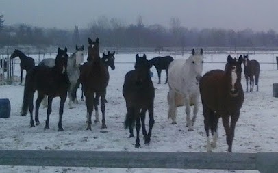 Equestrian Center Slas Jumping, Centre Equestres à Marckolsheim