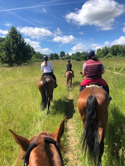 L'ecurie Grandpierre, Centre Equestres à Orgeval