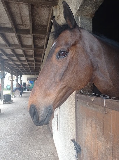 Écurie Of La Voie Blanche, Centre Equestres à Léry