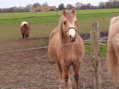 Dehent Chloe, Centre Equestres à Saint-Éliph