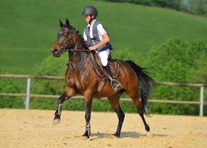 Association Ecurie Du Nil, Centre Equestres à Moissac