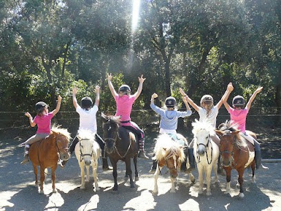 Pony Club, Centre Equestres à La Seyne-sur-Mer