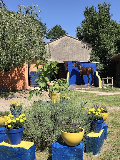 Écurie Lerpiniere, Pension pour Chevaux à Reignac