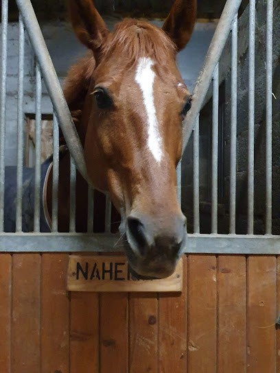 ECURIE DE LA GANE, Centre Equestres à Nohanent