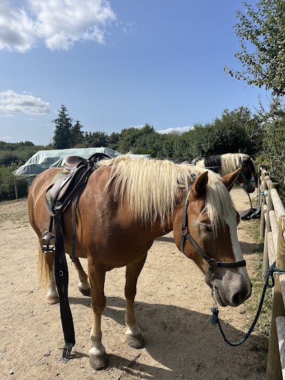 Balade à Cheval Et Calèche, Centre Equestres à Séné