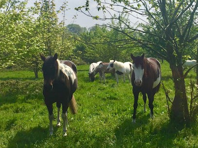 Les Ecuries De Saint Sébastien, Centre Equestres à Fréhel