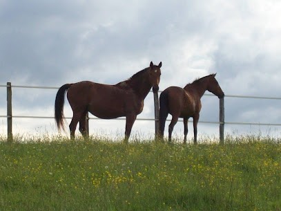 RANCH DU VAL DES SONGES, Pension pour Chevaux à Castelnavet