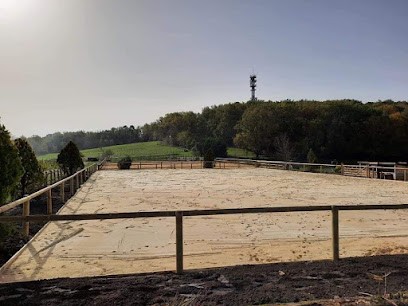 Élevage De L'Etang D'Argent, Centre Equestres à Port-Sainte-Foy-et-Ponchapt