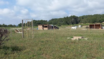Au Paradis D'Eden, Pension pour Chevaux à Aubussargues