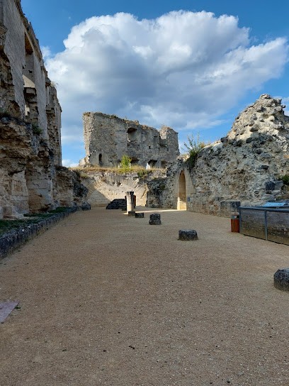 Les Ecuries de Coucy, Pension pour Chevaux à Coucy-le-Château-Auffrique