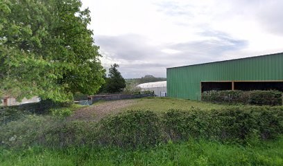 Wedding Caléche Attelage De Bellozanne, Centre Equestres à Samer