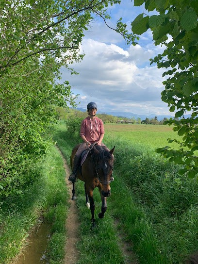 Requet Nadège - Ecurie ALMAE, Centre Equestres à Saint-Vérand