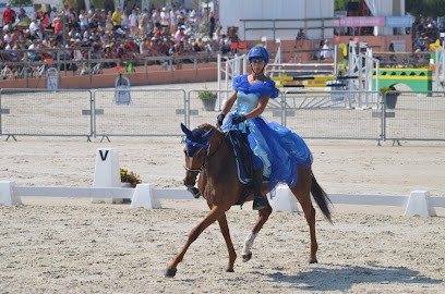 Les Ecuries de La Perchais, Centre Equestres à Montreuil-en-Touraine