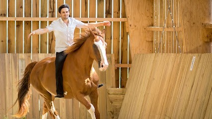 Monitor Riding Jerome Rotard, Centre Equestres à Sucé-sur-Erdre