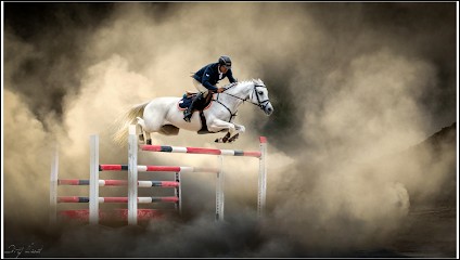 LE CENTAURE DE LAMAURELLE, Centre Equestres à Dolmayrac