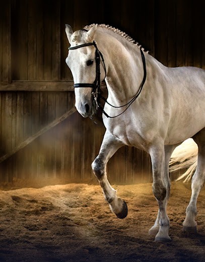 Écurie D.O.L.P, Centre Equestres à Novillers