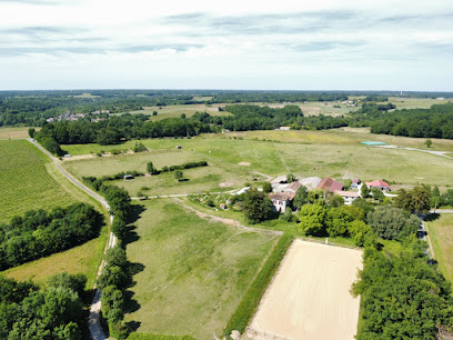 Les Écuries De Bel Air Pension Pour Chevaux à Saint-Sauvant