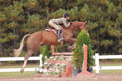 Stalls De L Oxer, Centre Equestres à Noidans-le-Ferroux