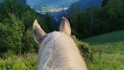 Les Chevaux De La Diamanterie Centre Équestre à Saint-Ferréol
