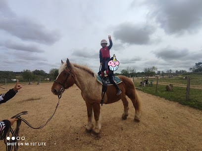 Horse Farm Villa Calobrice, Centre Equestres à Servian