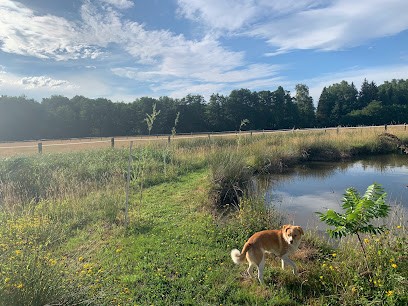 Caballo Real Ibérique, Pension pour Chevaux à Franchevelle