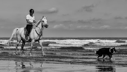 Cape Equitation, Centre Equestres à Sangatte