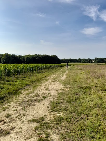Ranch des lamberts, Centre Equestres à Moulis-en-Médoc