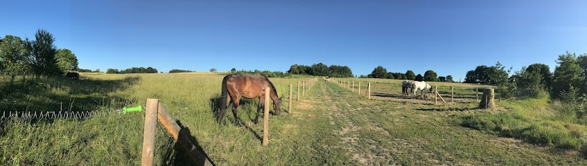 Ecurie Saint Hippolyte, Pension pour Chevaux à Saint-Hippolyte
