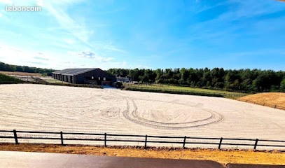 Stud Calma - Écurie De Owners Seine Et Marne Pension Cheval & Poney - Sale - Valorisation, Pension pour Chevaux à Chaumes-en-Brie