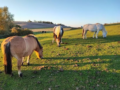 Pony Club Touvabien, Centre Equestres à Succieu