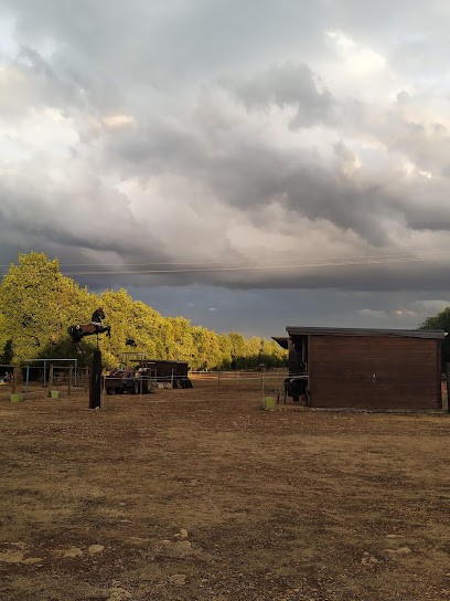 Le Mas de Flam et ses Amis, Pension pour Chevaux à Vaylats