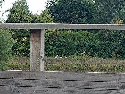 Equestrian Center Du Marais, Centre Equestres à Escautpont