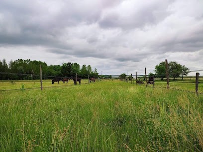Écurie de Russel, Pension pour Chevaux à La Force