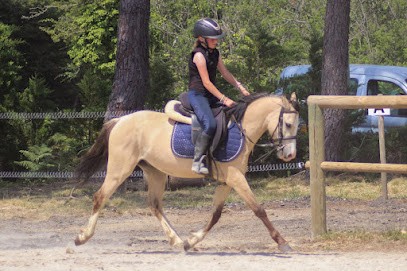 Attelage De Kastell Dinn, Centre Equestres à Crozon