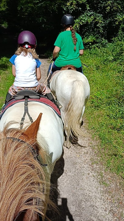 CENTRE EQUESTRE LERAT, Centre Equestres à Pommeréval