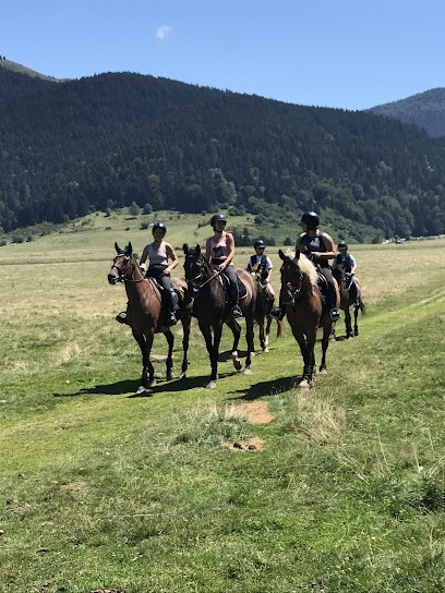 Stables Du Bouscarou, Centre Equestres à Juillan