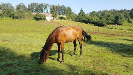 Écurie De La Charbonnière, Centre Equestres à Saint-Laurent-en-Grandvaux