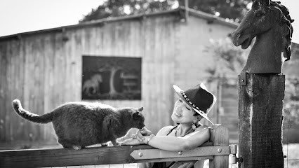 Residence Equine Domain Du Verseau, Centre Equestres à Frontenaud