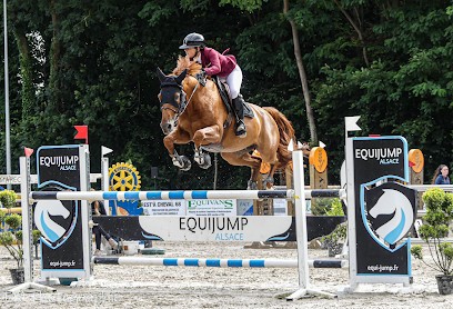 Écurie Du Dachsbuhl / Élevage Du Hans, Centre Equestres à Colmar