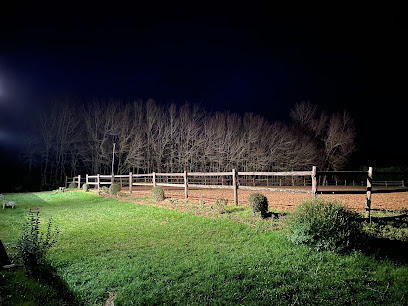 Les Écuries D'harmony Pension Pour Chevaux à Varennes-sur-Loire