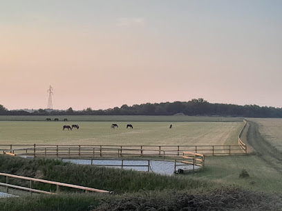 Écurie Active Infinite, Pension Pour Chevaux à la Forêt-du-Parc